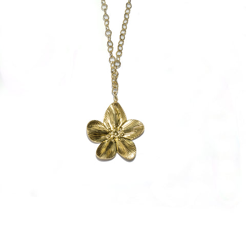 L'Orchidee Ketting